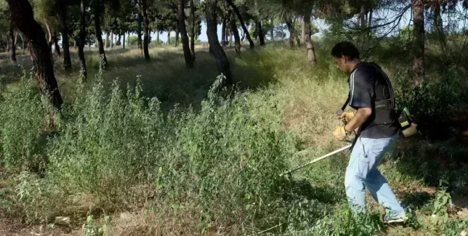 Ξεκίνησαν οι έλεγχοι σε ακαθάριστα οικόπεδα από την Πυροσβεστική - 3.748 καταγγελίες πολιτών σε 18 ημέρες