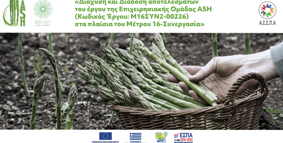 Ημερίδα – Ανοιχτή Συζήτηση για τη Διάχυση και Διάδοση αποτελεσμάτων έργου ASH του Μέτρου 16-Συνεργασία