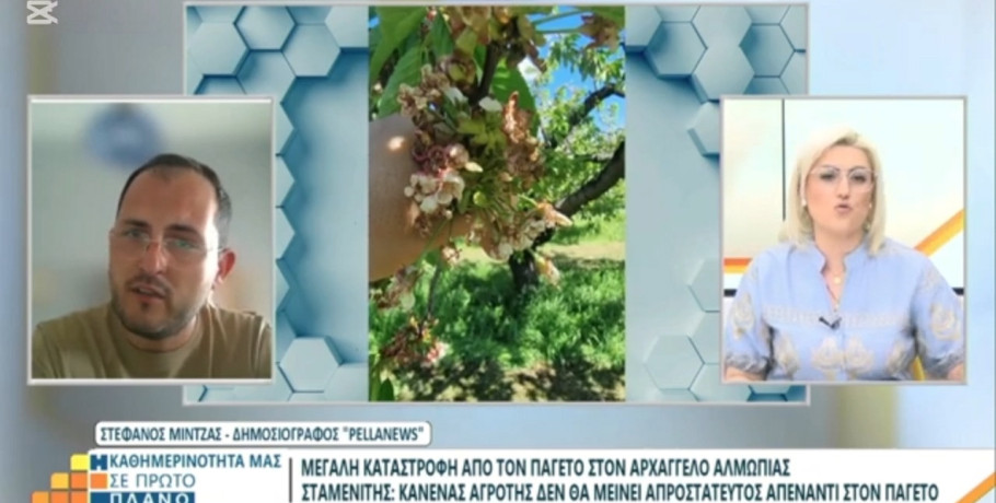 Ο Στέφανος Μίντζας στη Βεργίνα Τηλεόραση για τις ζημιές στα κεράσια και τις αποζημιώσεις