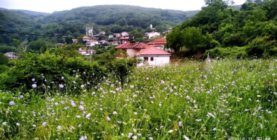Διαδρομή στην Φύση και στο Όμορφο δάσος της Κούπας