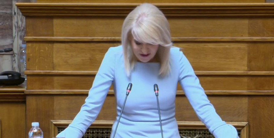 Θ. Τζάκρη - Τοποθέτηση στη Βουλή για τον νέο Αναπτυξιακό Νόμο