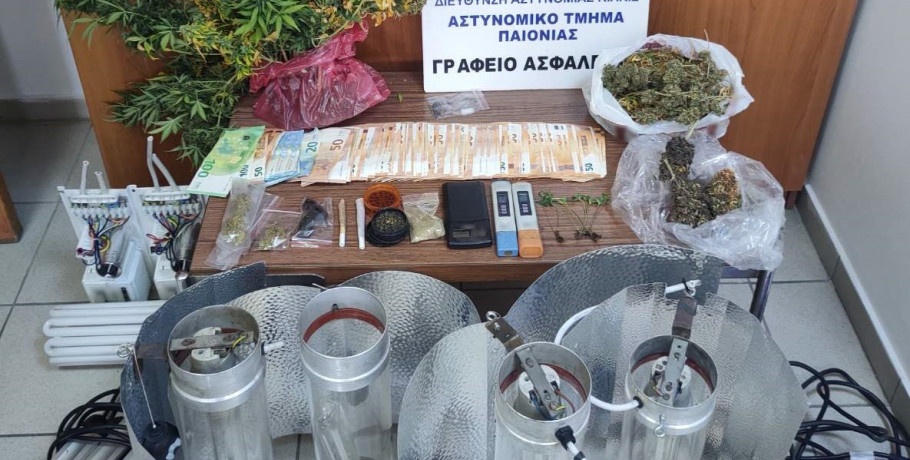 Συνελήφθη ένα άτομο για καλλιέργεια δενδρυλλίων κάνναβης