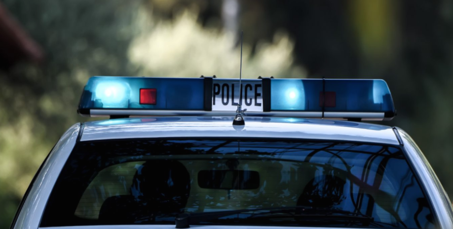 Πιερία: Με 45 δενδρύλλια και βάλε...