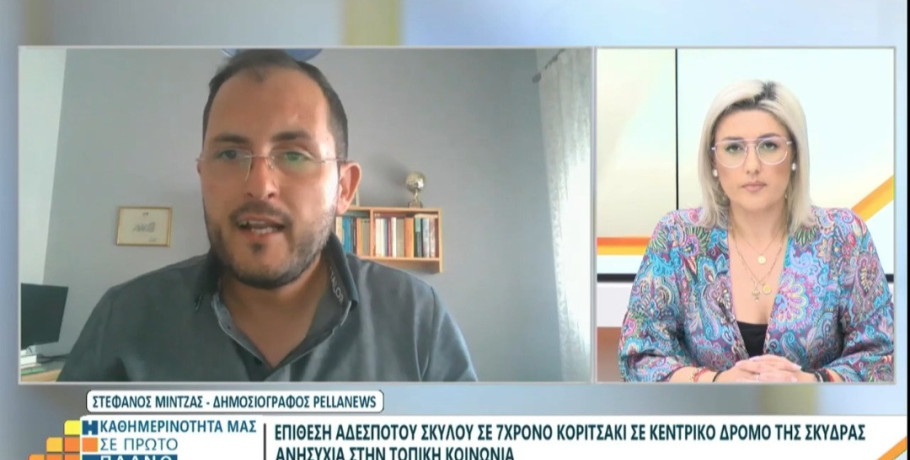 Βεργίνα Τηλεόραση: Επίθεση αδέσποτων σκύλων σε κοριτσάκι στη Σκύδρα και αποκαλύψεις για την κατάσταση στην πόλη