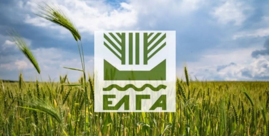 Πληρωμή 8,7 εκατ. ευρώ για εκτιμήσεις κι επανεκτιμήσεις ζημιών σε φυτική παραγωγή και ζωικό κεφάλαιο του 2024