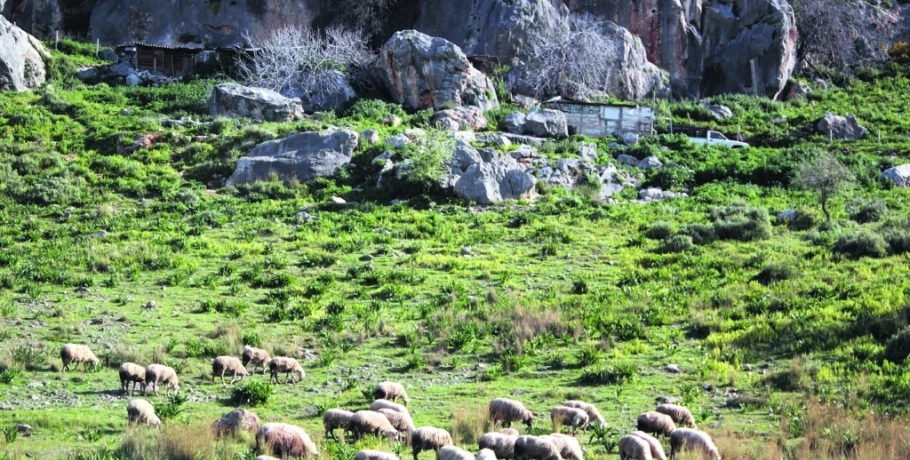 ΟΠΕΚΕΠΕ: Συνεχίζει τις έρευνες η Ευρωπαϊκή Εισαγγελία