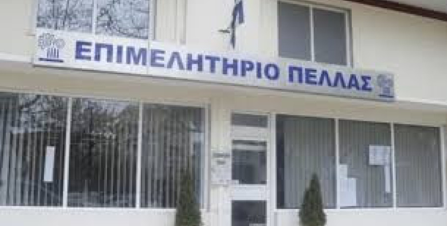 Ανοικτή Ενημερωτική Εκδήλωση στην Έδεσσα για τις Δράσεις Στήριξης Επιχειρηματικότητας του Προγράμματος «Κεντρική Μακεδονία»/ΕΣΠΑ 2021-2027