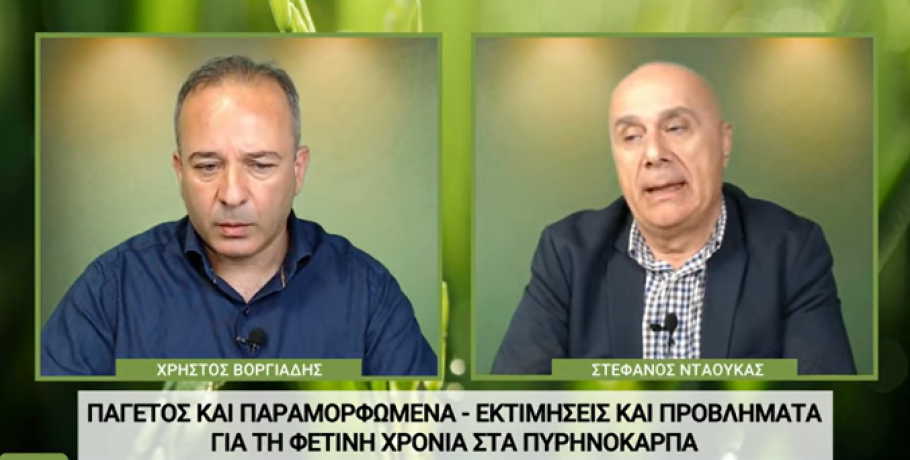 Ο Στέφανος Νταούκας για τιμή στο ροδάκινο, παραμορφωμένα και παγετούς
