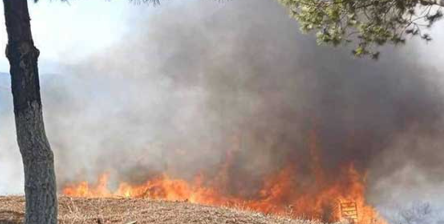 Συνελήφθη 73χρονος για εμπρησμό στη Βοιωτία – Έβαλε φωτιά σε δύο διαφορετικά σημεία