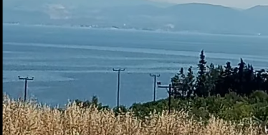 Γιαννιτσά: Οι πρώτες εντυπώσεις από έναν Γιαννιτσιώτη στην Χαλκιδική...(φώτο, video)