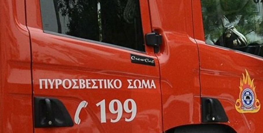 Φωτιά σε δασική έκταση στα Βίλια Αττικής: Eπιχειρούν και εναέρια μέσα