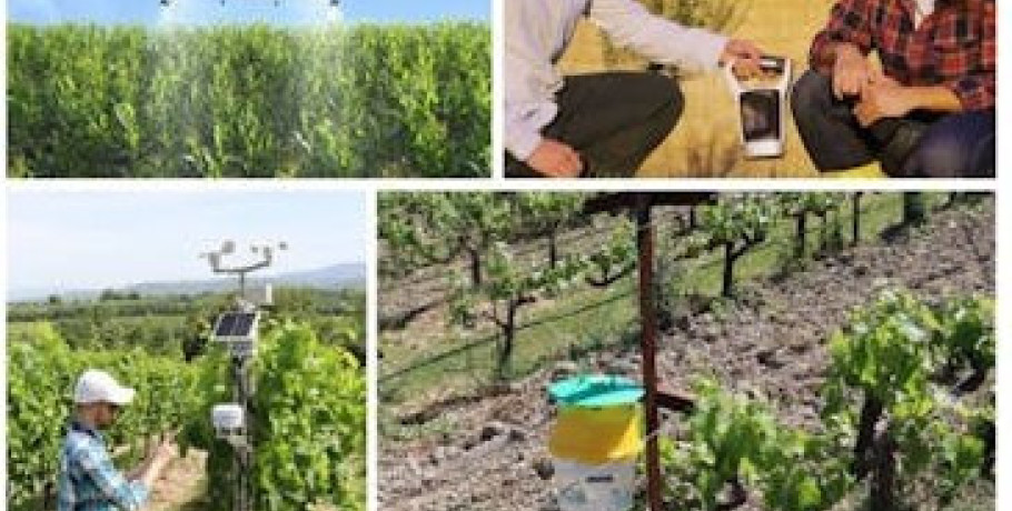 Ημερίδα στην Αριδαία «Ψηφιακός Μετασχηματισμός στη Γεωργία και τη Βιωσιμότητα»