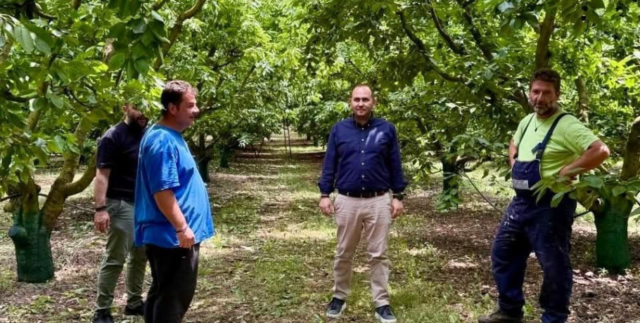 Σοβαρές ζημιές στα κεράσια της Πέλλας – Επίσκεψη Λάκη Βασιλειάδη σε Άγρα, Κερασιά και Βρυτά