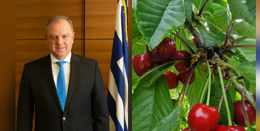 Ανησυχία στον Αγροτικό Κόσμο της Πέλλας μετά την Παραίτηση Σταμενίτη – Εκκρεμούν Κρίσιμα Θέματα για τις Αποζημιώσεις