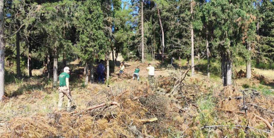 Προδιαγεγραμμένη καύση: Το νέο μοντέλο πρόληψης πυρκαγιών και διαχείρισης της καύσιμης ύλης - Πώς θα εφαρμοστεί