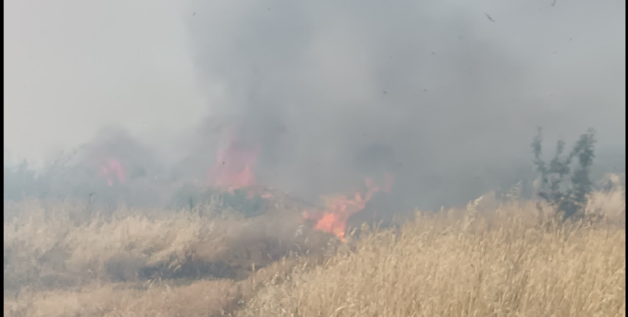 Φωτιά σε αγροτική περιοχή στην Πέλλα - Φωτογραφίες
