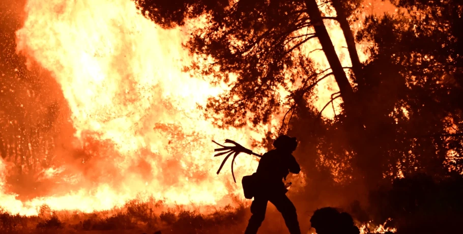Φωτιά στον Ωρωπό: Μεγάλη περιβαλλοντική καταστροφή - «Κάηκε μεγάλο μέρος του δάσους», λέει ο δήμαρχος