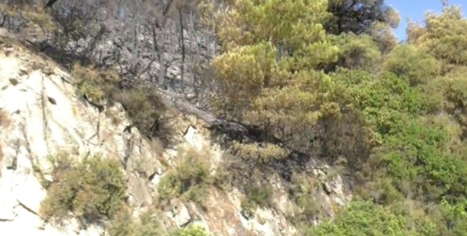 Χαλκιδική: Καταλυτική η βοήθεια των drones στην αντιμετώπιση της πυρκαγιάς στη Βουρβουρού