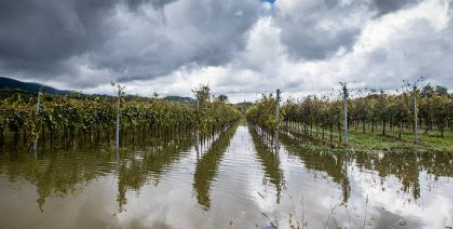 Έως σήμερα ο έλεγχος αιτήσεων στήριξης πληγέντων από φυσικές καταστροφές μέσω του Μέτρου 23