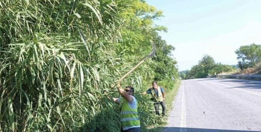Εργασίες κοπής πρασίνου στην Εθνική Οδό 16 Θεσσαλονίκης- Αρναίας και στη Ν.Ε.Ο.- Παράκαμψη Αρναίας από την ΠΚΜ