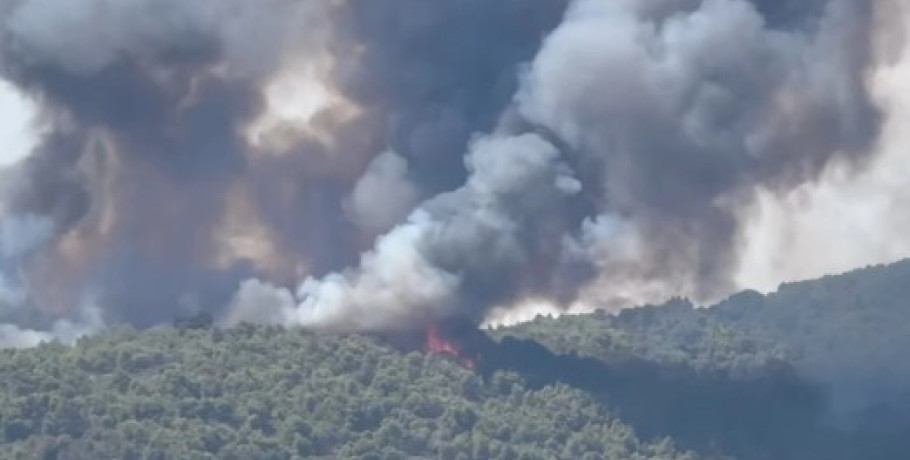Φωτιά στο πευκοδάσος στη Βουρβουρού Χαλκιδικής