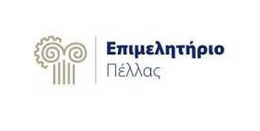 Συμμετοχή του Επιμελητηρίου Πέλλας στη Σύσκεψη για τη Σύνδεση Πανεπιστημίων με την Αγορά Εργασίας – Πρωτοβουλίες για την Ίδρυση Πανεπιστημιακής Σχολής