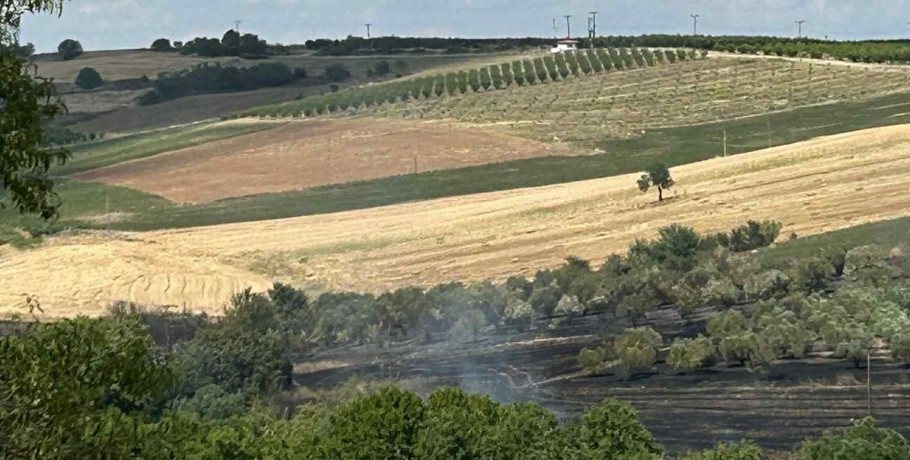 Γιαννιτσά: Φωτιά στον Πενταπλάτανο-Έγκαιρη επέμβαση της Πυροσβεστικής (φώτος)