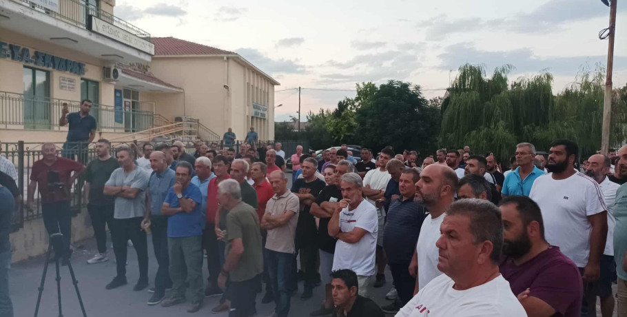 Αγώνας επιβίωσης για τον αγροτικό κόσμο Πέλλας Ημαθίας: Το συμπύρηνο ροδάκινο "απειλείται" και μαζί του το μέλλον χιλιάδων καλλιεργητών