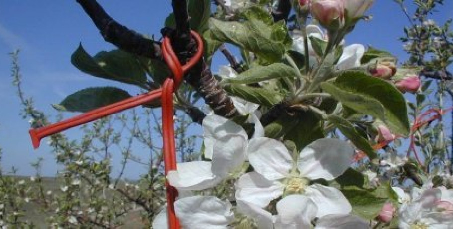 Εγκύκλιος ΟΠΕΚΕΠΕ με τις αλλαγές στα παραστατικά για το φετινό «Κομφούζιο»