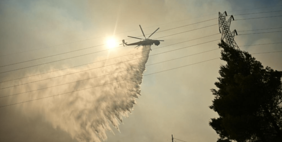 Πυρκαγιά σε δασική έκταση στην περιοχή Μικρά Σάντα Ημαθίας