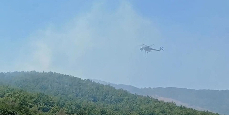 Επιτυχής κατάσβεση πυρκαγιάς στη Νέα Ζωή Πέλλας – Καθοριστική η συμβολή των πυροσβεστών και του ελικοπτέρου