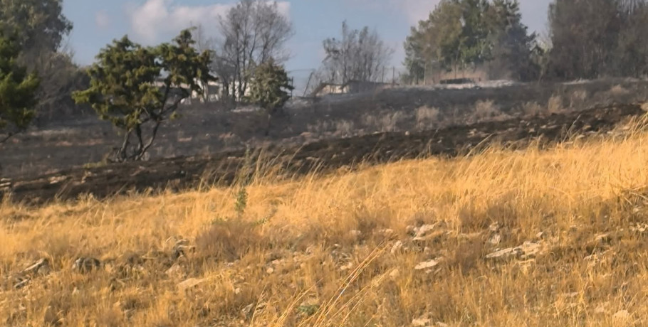 Έσβησε η φωτιά στην Περίκλεια Αλμωπίας