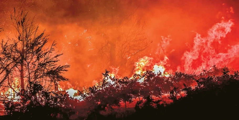 Ποιοι βάζουν τις φωτιές και γιατί σβήνουν δύσκολα - Εμπρηστές με σχέδιο, megafires και επικίνδυνη αμφισβήτηση του 112