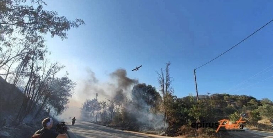 Φωτιά τώρα στην Εύβοια