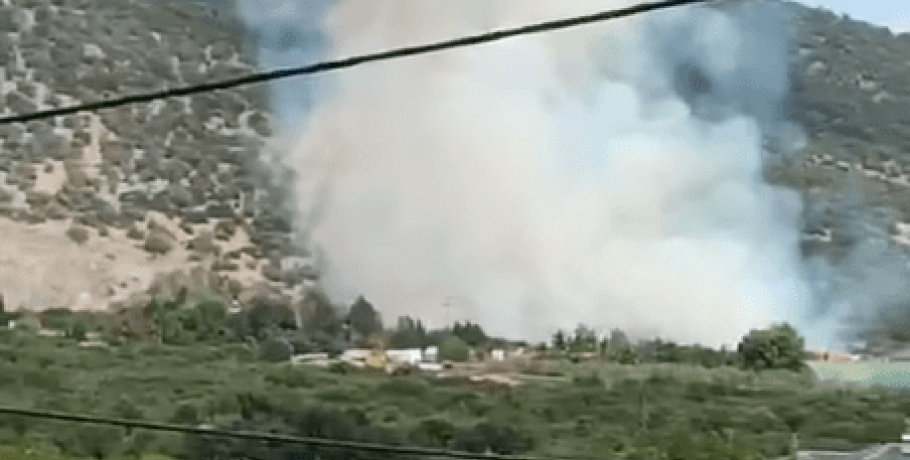 Φωτιά στην Αραβησσό/ Άμεσα έσπευσε η Πυροσβεστική (Pic, video)