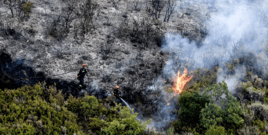 Κινητοποίηση πυροσβεστών στη Φωκίδα για κατάσβεση πυρκαγιάς σε δάσος