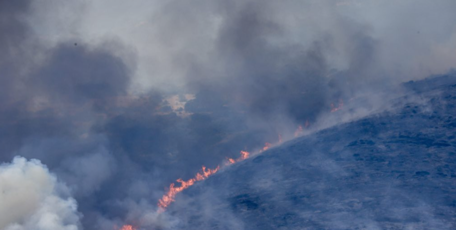 Πώς η απώλεια δασικής βλάστησης αυξάνει τη θερμοκρασία του εδάφους – Η περίπτωση της Πάτρας μετά τις φωτιές