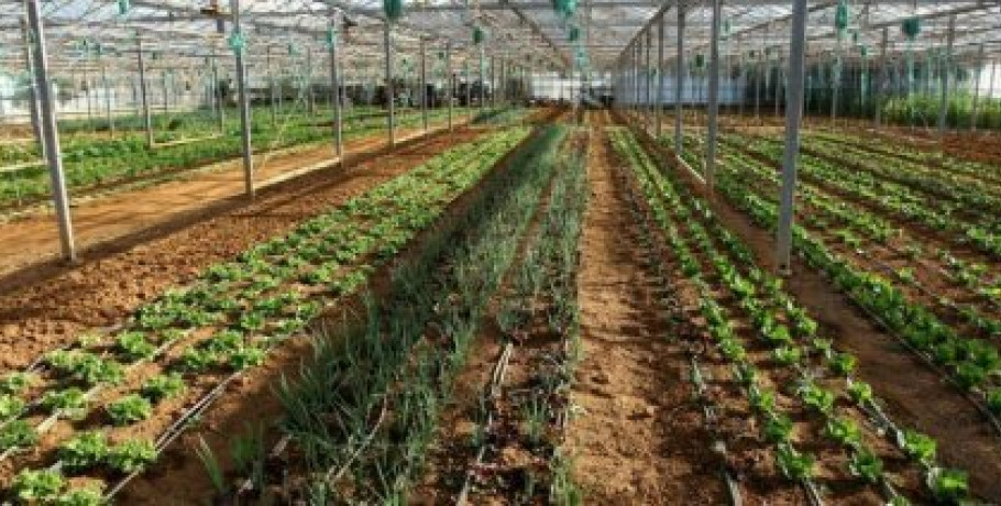 Οι προϋποθέσεις εγγραφής φυτών στον Εθνικό Κατάλογο Ποικιλιών και οι παρεκκλίσεις για βιολογική παραγωγή
