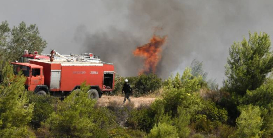 Άμεση επέμβαση της Πυροσβεστικής σε φωτιά έξω από κτηνοτροφική μονάδα στη Θηριοπέτρα Αλμωπίας