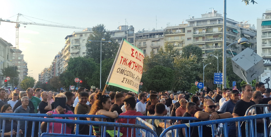Σε απόγνωση οι κτηνοτρόφοι – Η ευλογιά των προβάτων απειλεί τον κλάδο