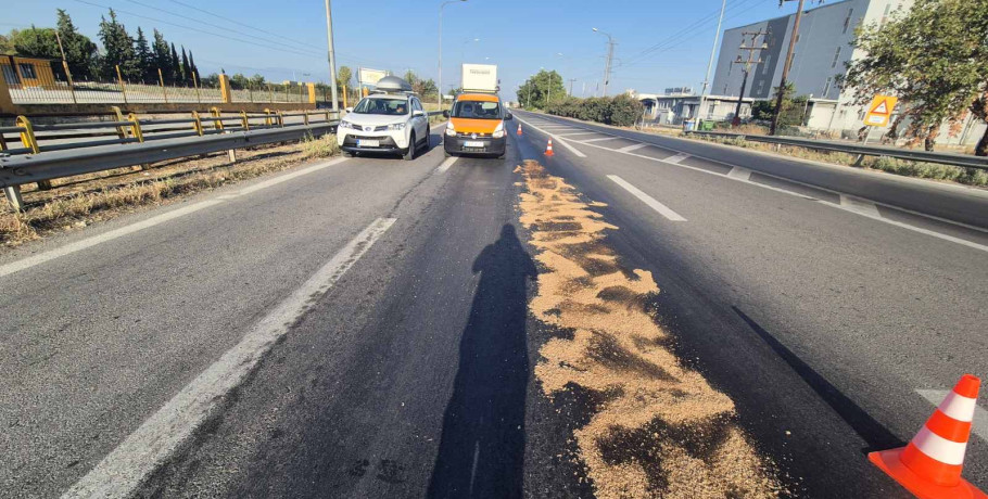 Αντιπεριφερειάρχης Πέλλας Δάνης Τζαμτζής: «Η Περιφερειακή Ενότητα Πέλλας συμμετέχει στις επιχειρήσεις πολιτικής προστασίας 24/24, σε όλη την επικράτεια αρμοδιότητάς της»