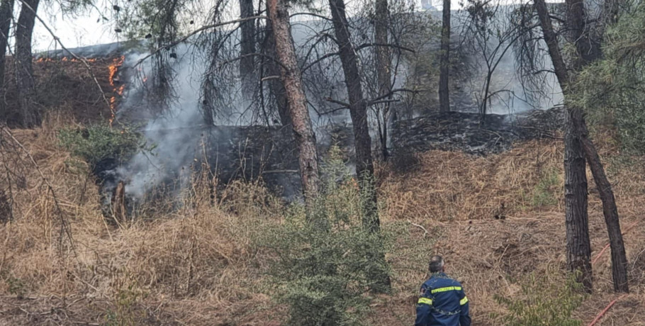 Γιαννιτσά: Φωτιά στην περιοχή των παλαιών Σφαγείων (φώτος)
