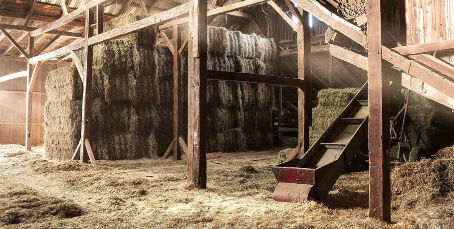 Δ.Α.Ο.Κ. Π.Ε. Ημαθίας - Ειδικά μέτρα διακίνησης και βιοασφάλειας που πρέπει να τηρούν οι επιχειρήσεις ζωοτροφών και οι παραγωγοί πρώτων υλών ζωοτροφών