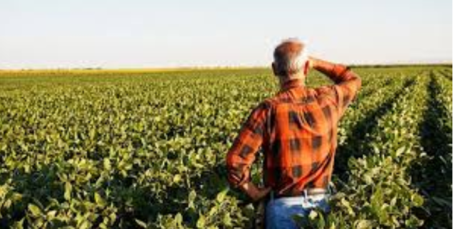 Έρχονται 10.000 εργάτες γης – Πάνω από 100.000 μετακλήσεις ξένων εργατών για το 2026