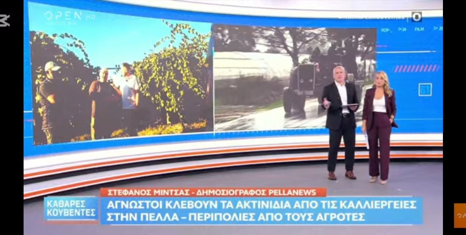 Στην εκπομπή «Καθαρές Κουβέντες» του OPEN το φλέγον ζήτημα με τις κλοπές ακτινιδίων στην Πέλλα