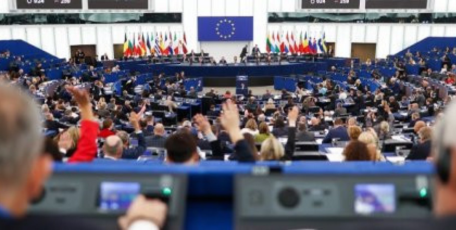 Αποζημιώσεις για φυσικές καταστροφές και ζωονόσους από την νέα ΚΑΠ, ζητούν οι ευρωβουλευτές