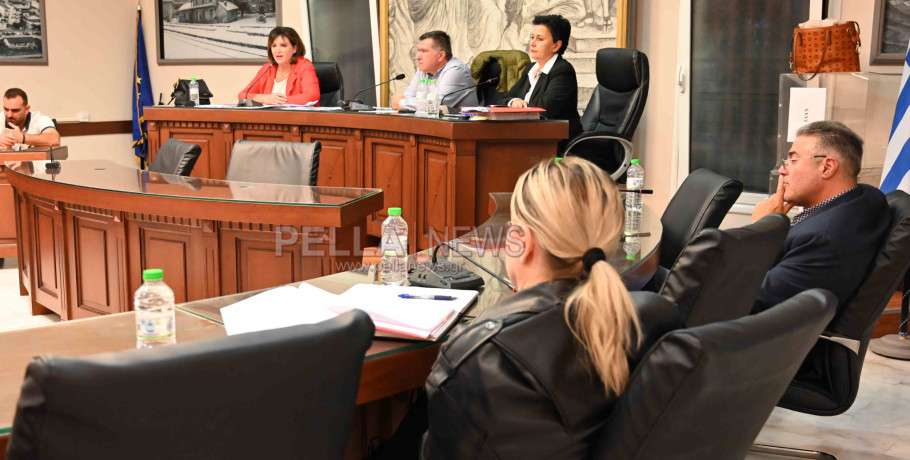 Δημοτικό Συμβούλιο Σκύδρας: Συνεχίζονται τα δικαστήρια με τη ΔΟΜΙΚΗ Παυλίδη, η ασύμμετρη απειλή των 2.500 αδέσποτων και τα παιδιά που τα ταΐζουν!