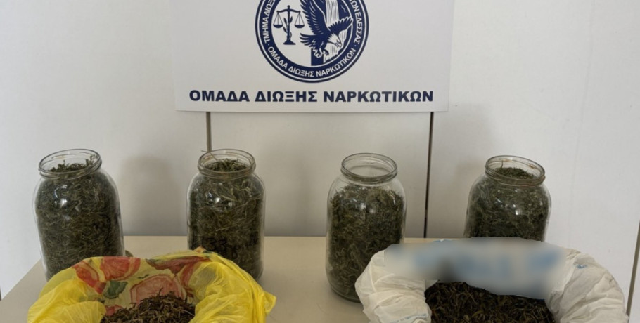 Σύλληψη άνδρα στην Πέλλα για κατοχή κάνναβης – Κατασχέθηκαν πάνω από 600 γραμμάρια