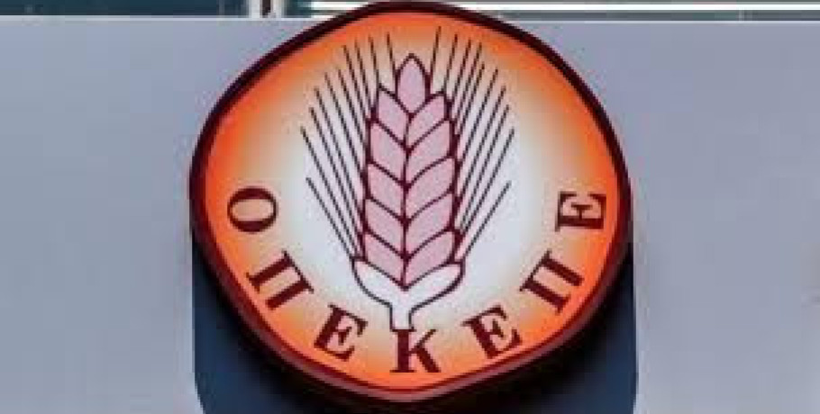 Κύκλωμα παράνομων επιδοτήσεων ΟΠΕΚΕΠΕ: Πώς δρούσε ο 38χρονος αρχηγός από τα Γιαννιτσά -Πολυτελή ταξίδια, Gucci, Prada και εικονικό διαζύγιο