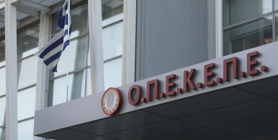 Τυχεροπούλου: Το on-line σύστημα «γεννούσε» ελέγχους και εκθέσεις